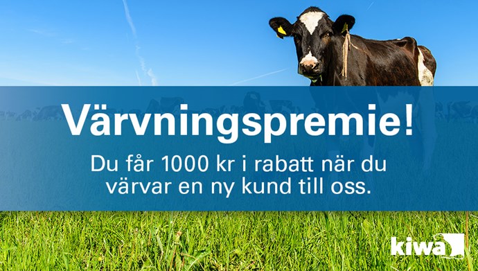 Värvningspremie! du får 1000 kr i rabatt när du värvar en ny kund till oss. 