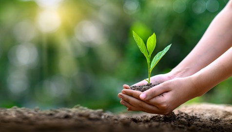 iso 14001