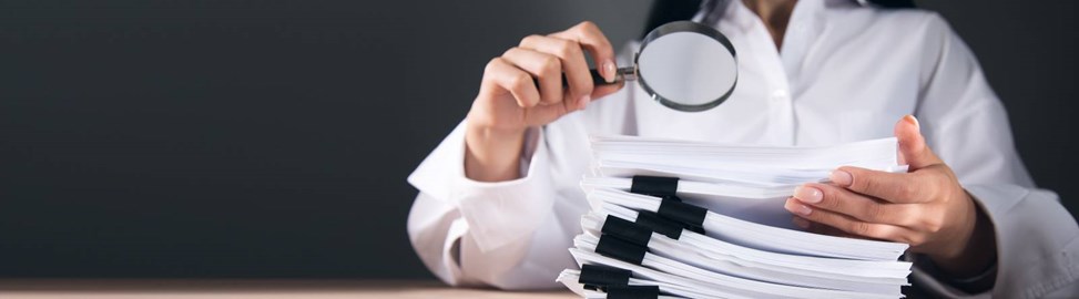 auditor-di-sistemi-di-gestione-parita-di-genere