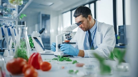 A man is inspecting food as part of Kiwa certification.