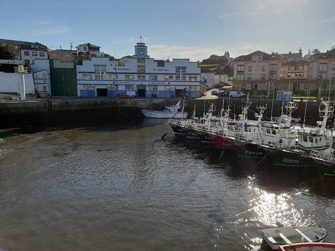 Cofradia 2.jpg