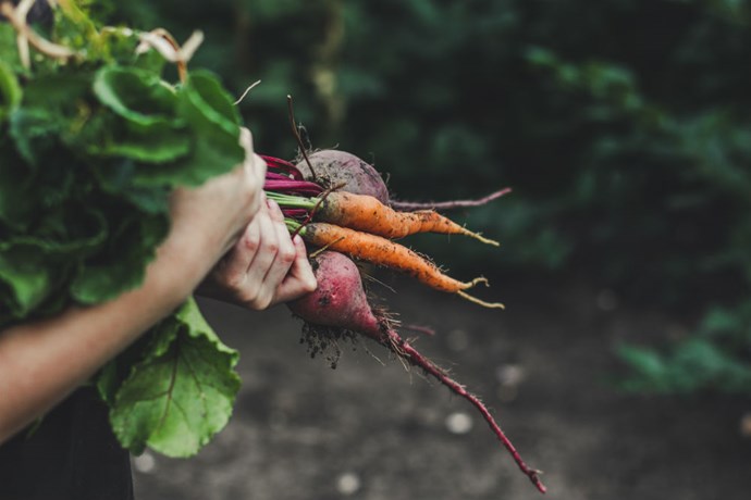 Organic_vegetables_1000.jpg