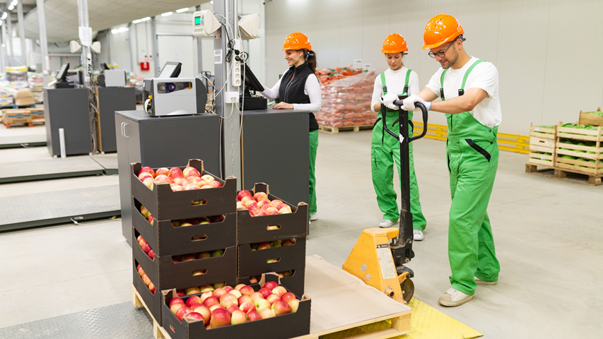 Aggiornamento Standard IFS Logistics