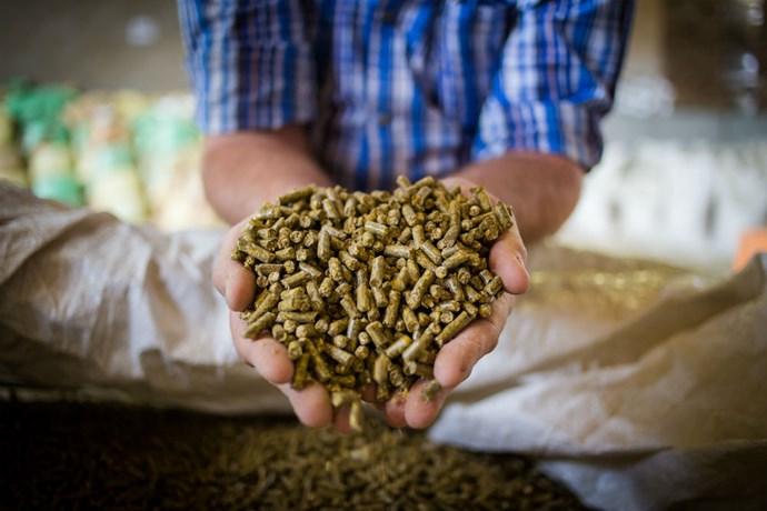 Animal_feed_bix_1000.jpg
