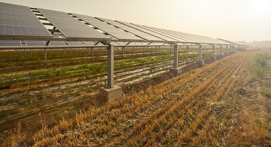 Agrofotovoltaico