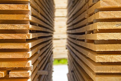 Hout planken