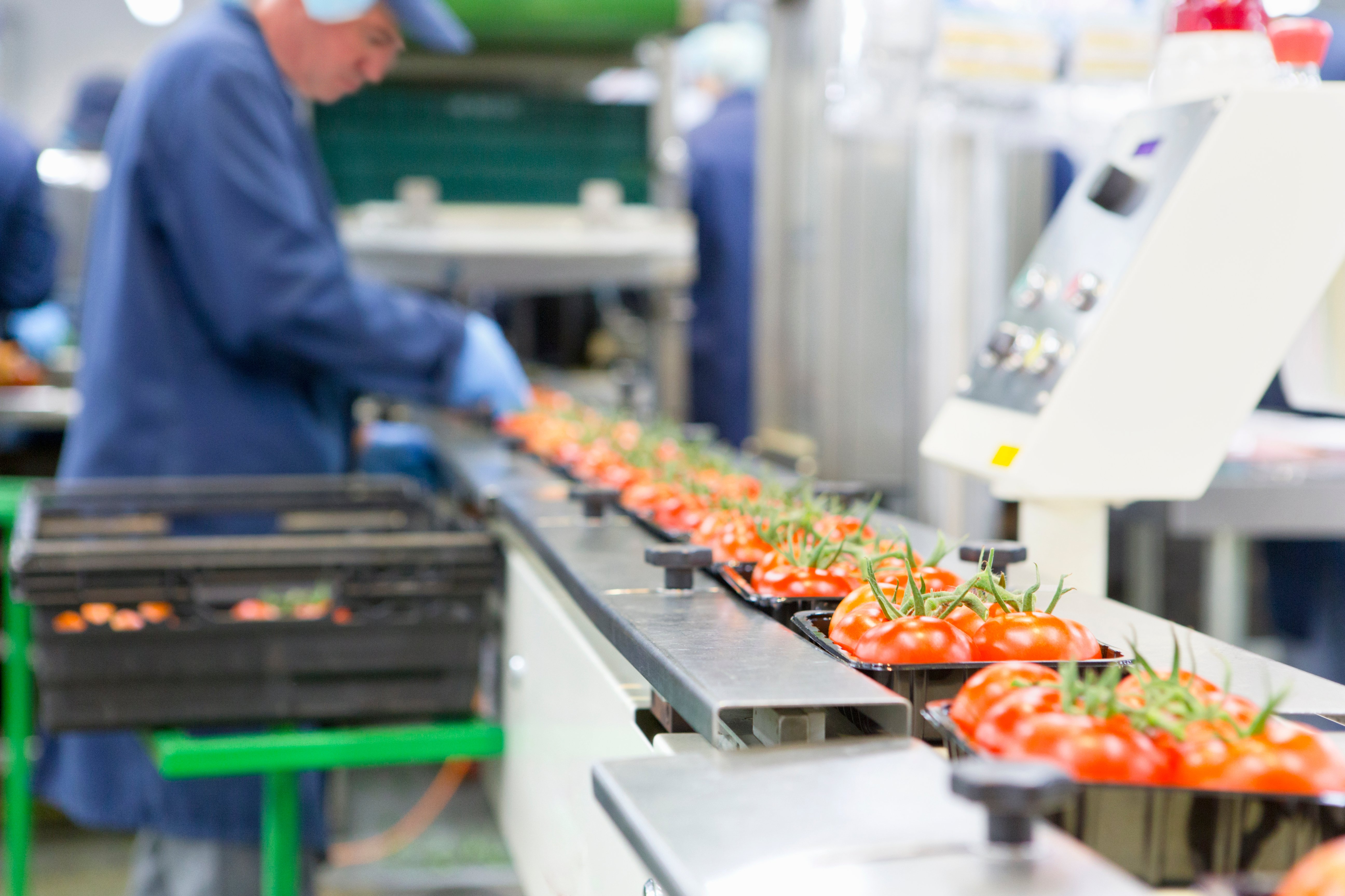Apple processing.jpg