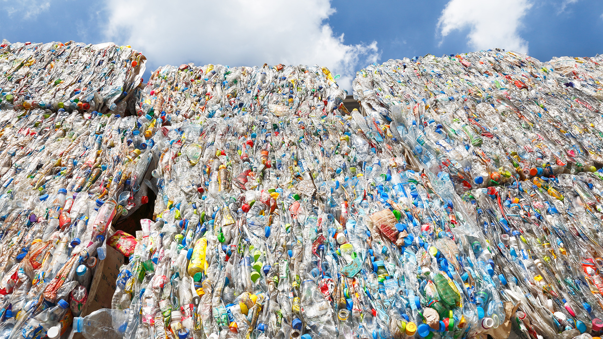 Recycling.jpg