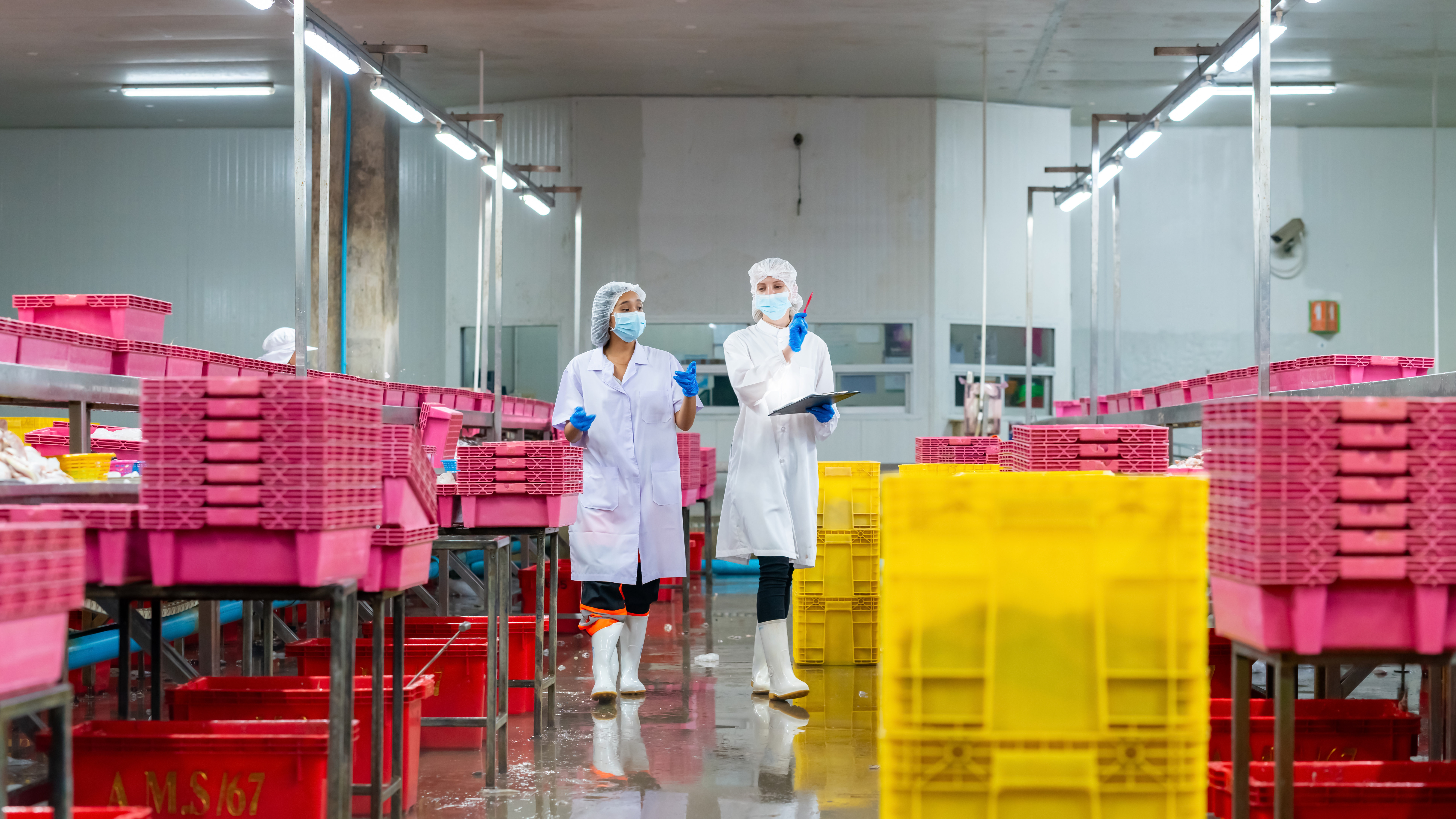 Auditors in factory among pink boxes