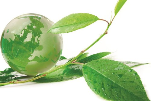 Green globe CSR