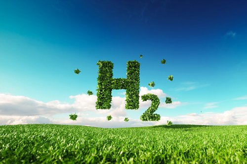 H2 icon in meadow