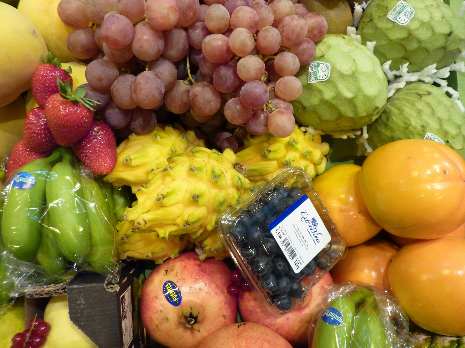 Frutas Rain Forest