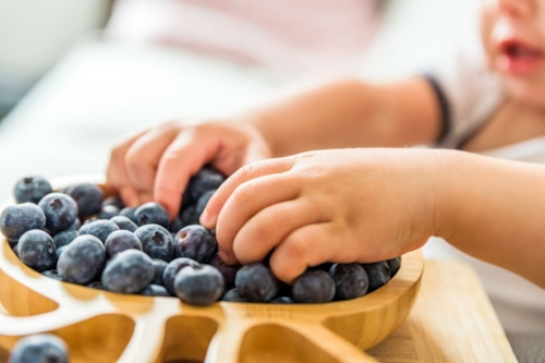 Kid eating berries