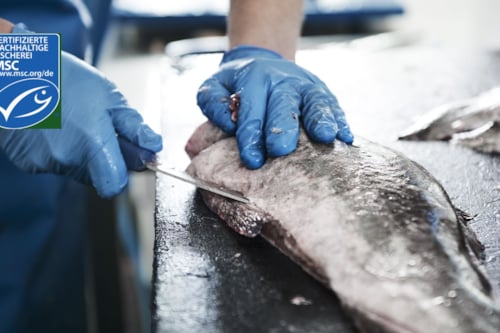 fish butchering