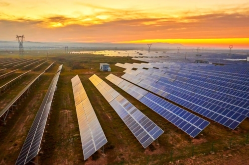 Solar panel field at sundown