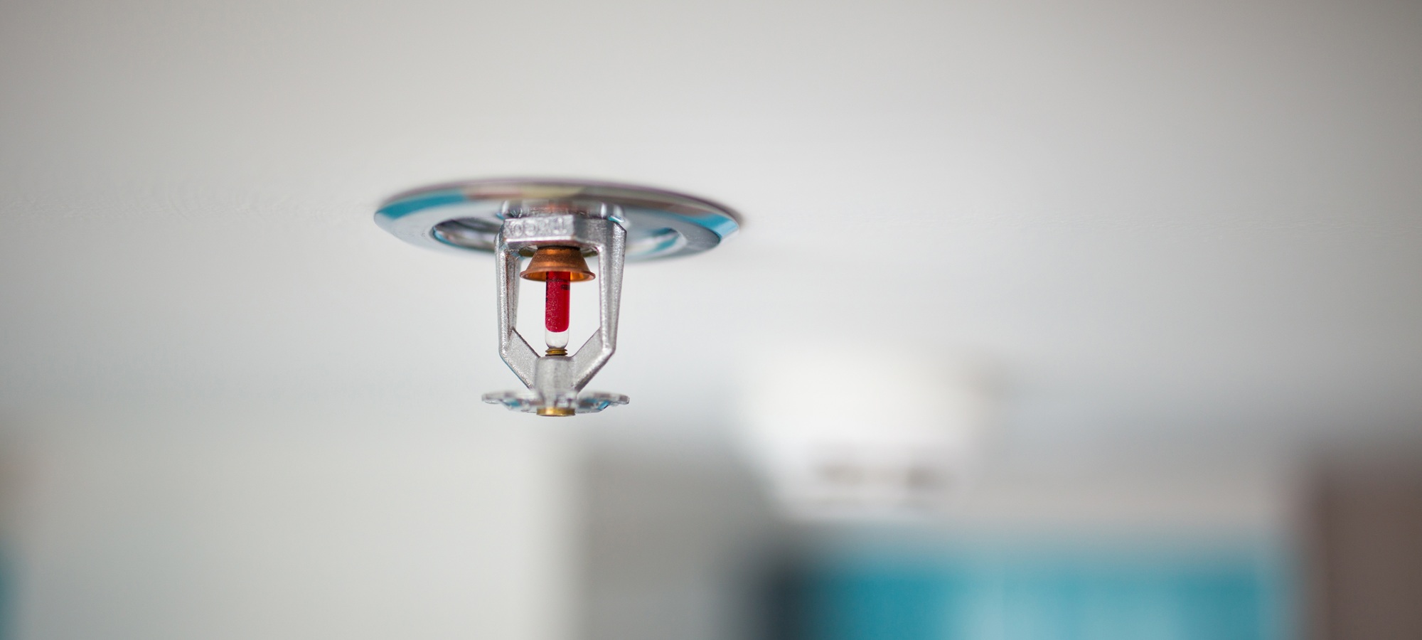 Close-up of a ceiling fire sprinkler head mounted on a white ceiling.