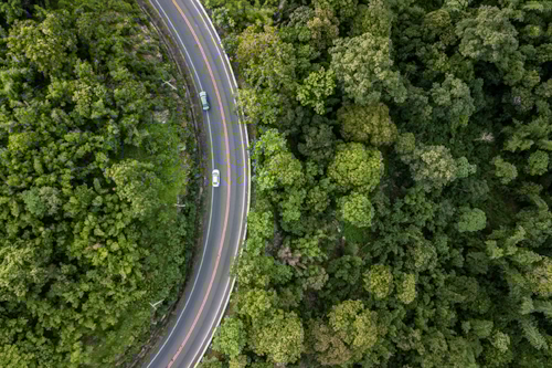 A long highway between the woods
