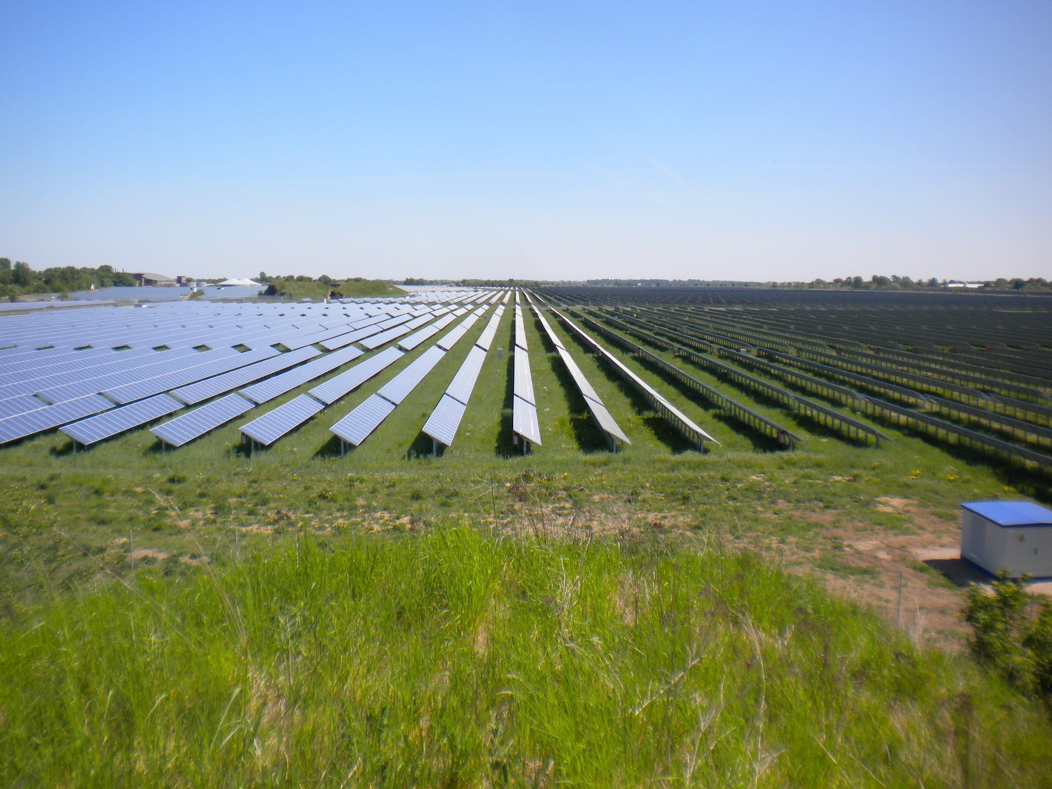 Expansive solar farm with rows of photovoltaic panels on a sunny day, highlighting sustainable energy production in a grassy field